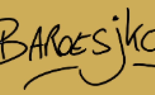 Logo Baroesjko