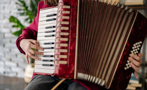 Detailfoto van Accordeonist